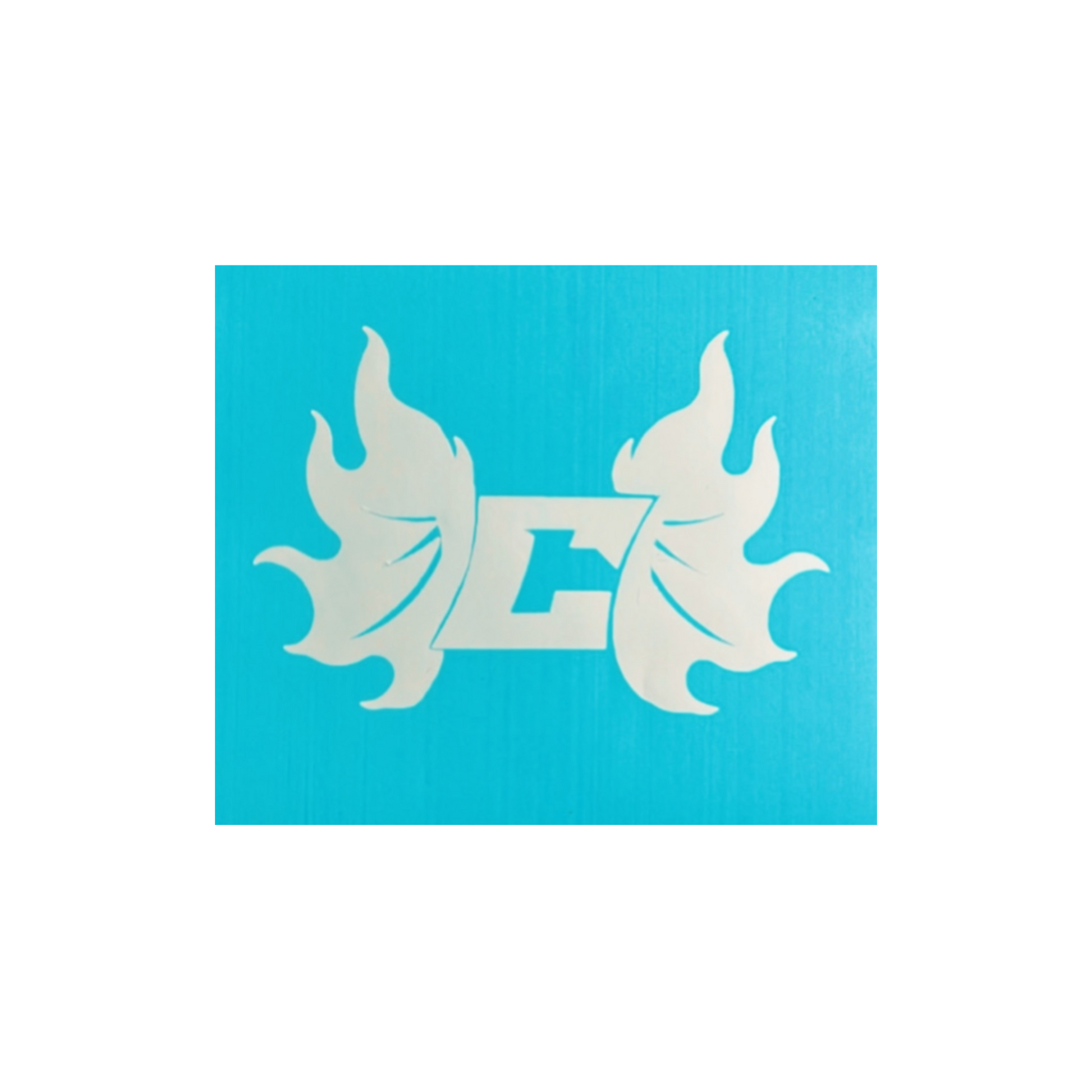TEAM SINNER DECAL